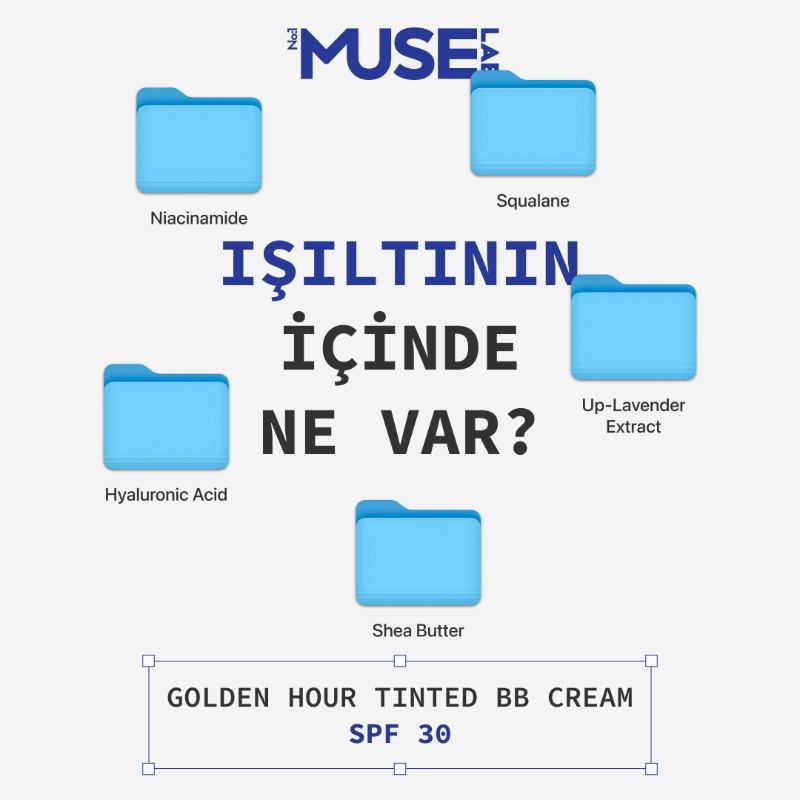 Muse Lab — ingredients infographic